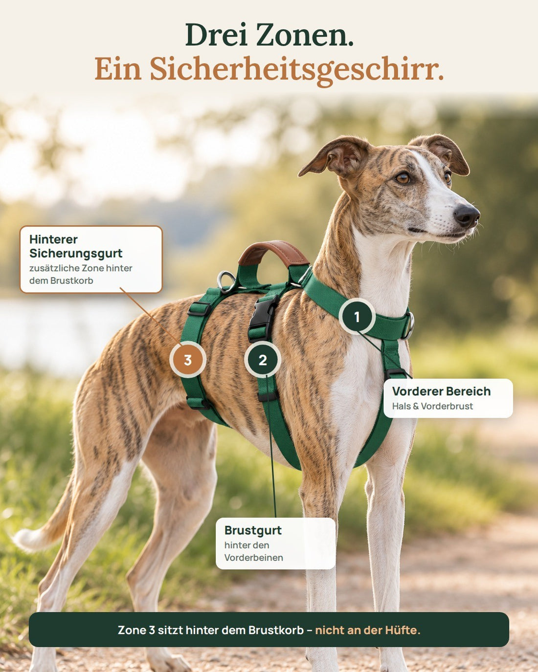 Hundegeschirr