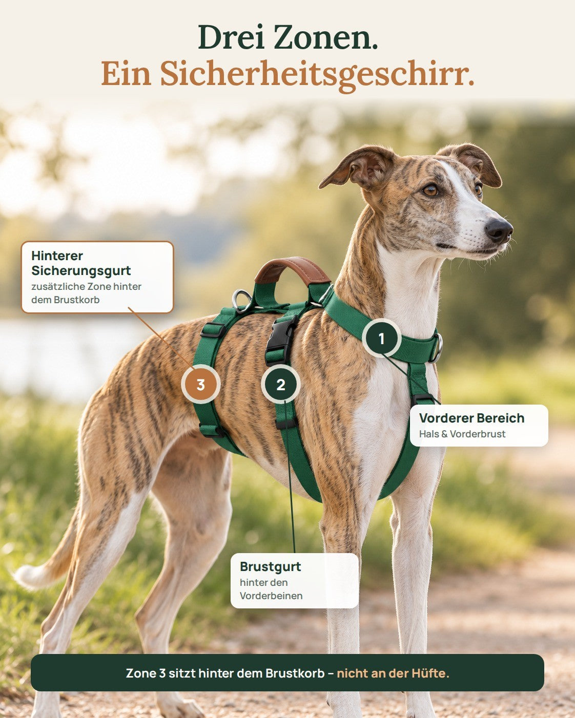 Die drei Zonen des Morino Sicherheitsgeschirrs