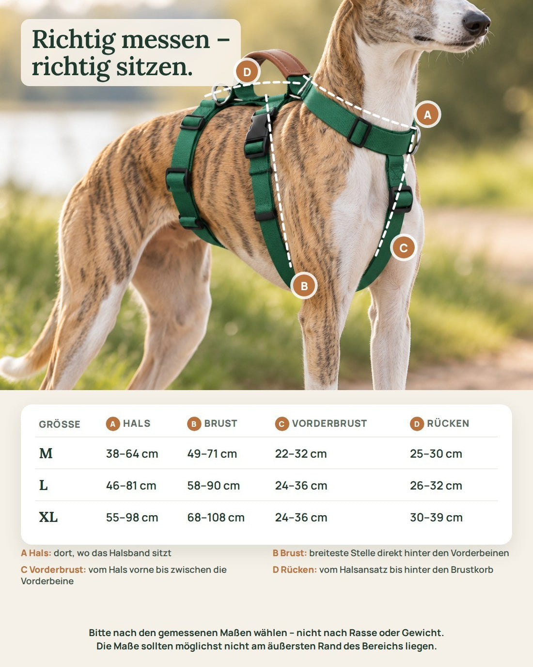 Hundegeschirr